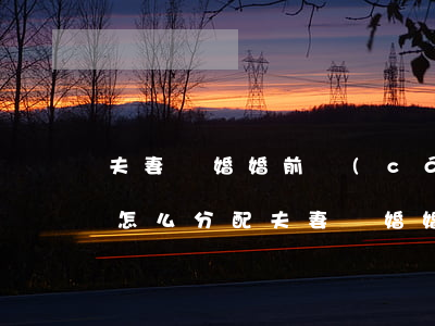 夫妻離婚婚前財(cái)產(chǎn)怎么分配(夫妻離婚婚前財(cái)產(chǎn)怎么分配 房子)