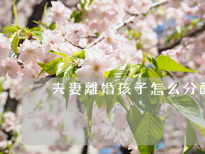 夫妻離婚孩子怎么分配