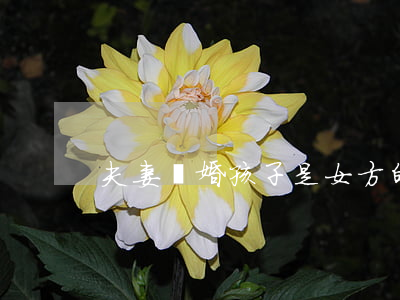 夫妻離婚孩子是女方的怎么辦