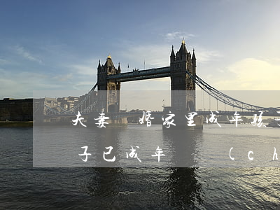 夫妻離婚家里成年孩子有份額嗎(夫妻離婚孩子已成年財產(chǎn)有孩子的嗎)