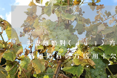夫妻離婚對(duì)方有欠款影響我買房嗎(離婚后男方信用卡欠款,會(huì)影響女方房產(chǎn)嗎?)