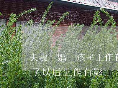 夫妻離婚對孩子工作有什么影響嗎(離婚對孩子以后工作有影響嗎)