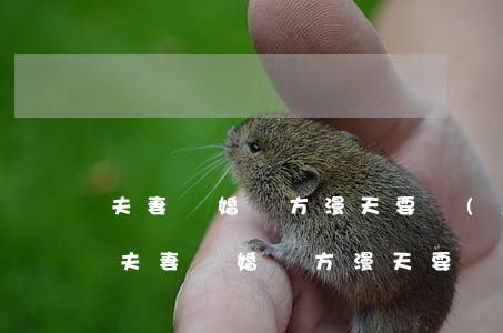 夫妻離婚對方漫天要價(jià)算詐騙嗎(夫妻離婚對方漫天要價(jià)算詐騙嗎)