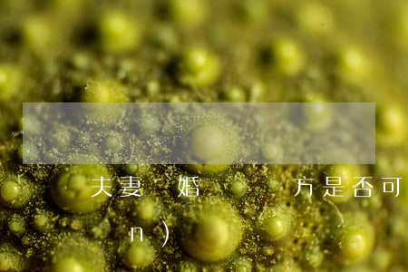 夫妻離婚對過錯方是否可以不分財產(chǎn)