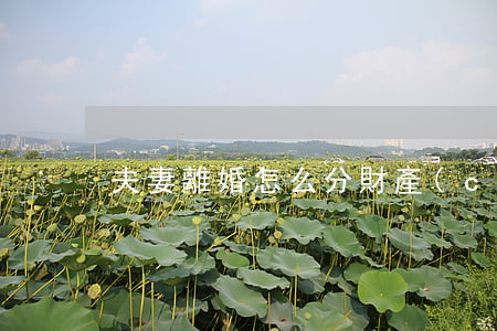 夫妻離婚怎么分財產(chǎn)