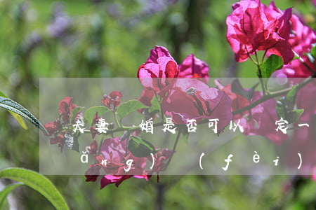夫妻離婚是否可以約定一方不支付撫養(yǎng)費(fèi)？