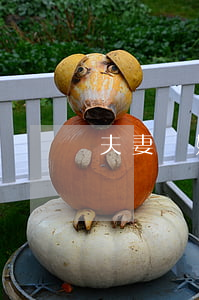夫妻離婚是啥意思(夫妻離婚是啥意思)
