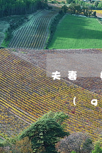 夫妻離婚案發(fā)回重審(離婚案再審的規(guī)定)