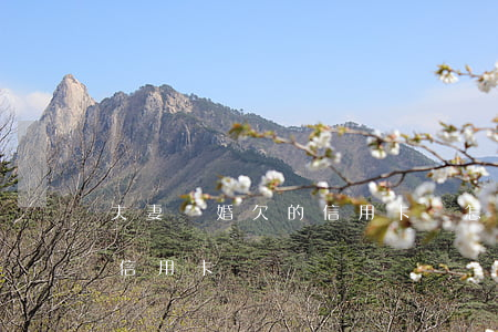 夫妻離婚欠的信用卡錢怎么還（夫妻離婚欠的信用卡錢）