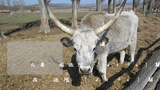 夫妻離婚法院調(diào)解筆錄可以修改嗎(法院調(diào)解筆錄的法律效力)