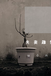 夫妻離婚爭奪孩子撫養(yǎng)權(quán)歸誰