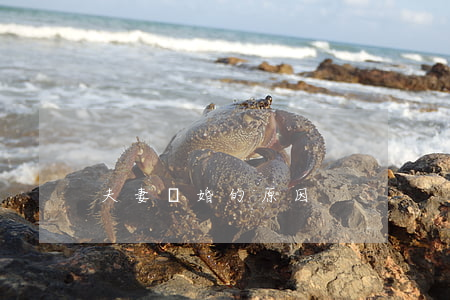 夫妻離婚的原因