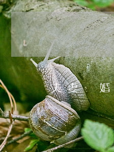 夫妻離婚股權(quán)如何分割