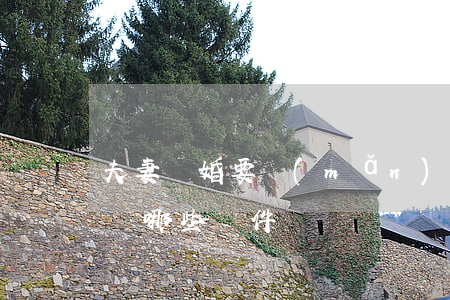 夫妻離婚要滿(mǎn)足什么條件(離婚具備哪些條件?)