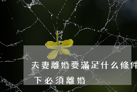 夫妻離婚要滿足什么條件(夫妻之間什么情況下必須離婚)