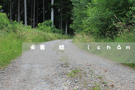 夫妻離婚財產(chǎn)怎么處理