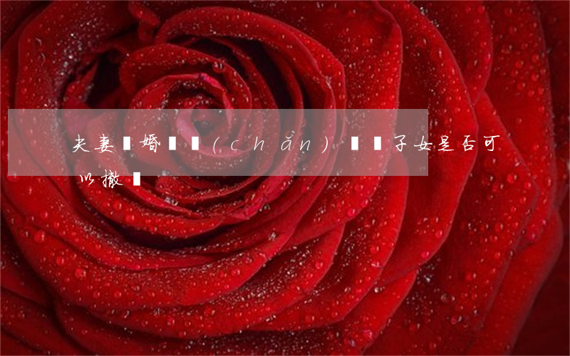 夫妻離婚財產(chǎn)贈與子女是否可以撤銷