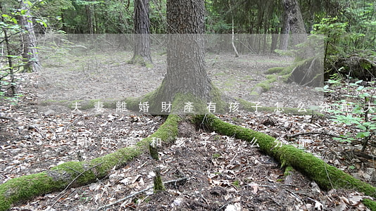 夫妻離婚財產有孩子怎么分配(夫妻離婚有共同財產和孩子怎么分配)