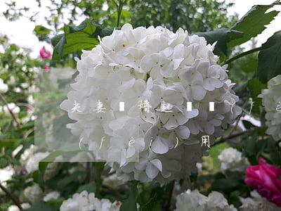夫妻離婚起訴費(fèi)多少(離婚起訴費(fèi)用)