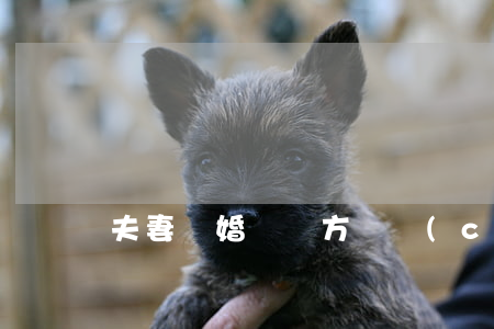 夫妻離婚過錯方財產(chǎn)分割