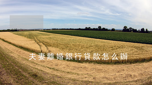 夫妻離婚銀行貸款怎么辦