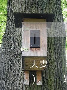 夫妻離開多長時(shí)間準(zhǔn)許離婚(夫妻二人分開多久可以離婚)