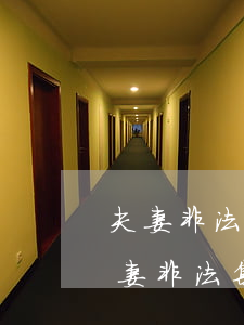 夫妻非法集資2000萬無力償還宣判-夫妻非法集資2000萬無力償還宣判案例
