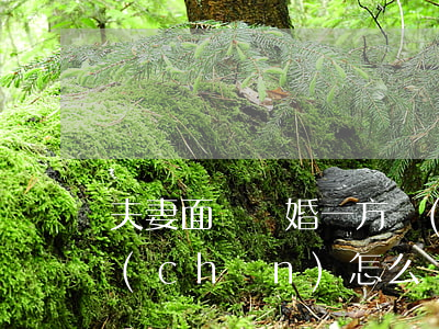 夫妻面臨離婚一方轉(zhuǎn)移財產(chǎn)怎么辦