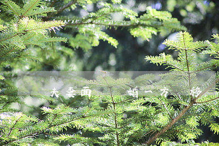 夫妻面臨離婚一方轉移財產怎么辦