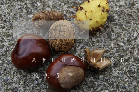 夫妻鬧離婚不爭車房，為一只狗鬧上法庭？法院判了！