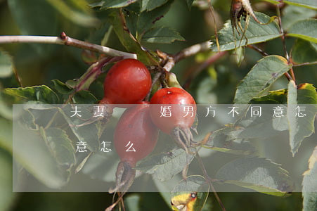 夫妻鬧離婚男方不同意怎么辦(離婚,男方不同意怎么辦)