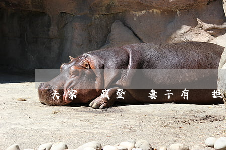 夫家親戚登門，妻子有權“拒之門外”嗎？