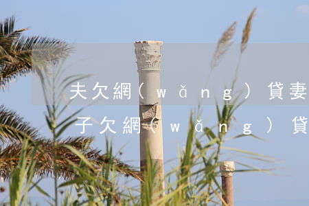 夫欠網(wǎng)貸妻被騷擾怎么處理(妻子欠網(wǎng)貸)