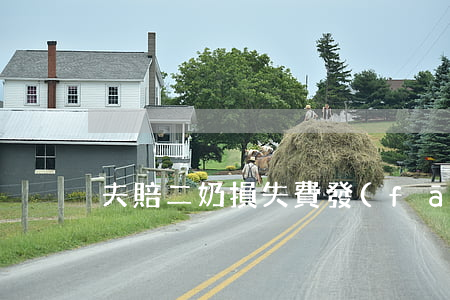 夫賠二奶損失費，發(fā)妻不服欲索回