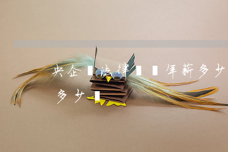 央企總法律顧問年薪多少(國企法律顧問一年多少錢)
