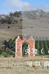 央產(chǎn)經(jīng)濟適用房可以遺產(chǎn)繼承嗎(央產(chǎn)經(jīng)濟適用房可以遺產(chǎn)繼承嗎)