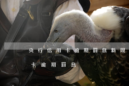 央行信用卡逾期罰息新規(guī)-信用卡 逾期 罰息