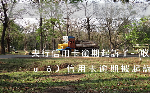 央行信用卡逾期起訴了-收到短信說(shuō)信用卡逾期被起訴