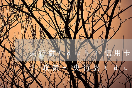 央行對(duì)信用卡逾期的保護(hù)政策-央行對(duì)信用卡逾期的保護(hù)政策2022