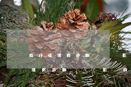 央行征信有逾期記錄會影響政審嗎-央行征信有逾期記錄會影響政審嗎知乎