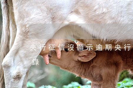 央行征信沒顯示逾期(央行征信沒顯示逾期記錄)