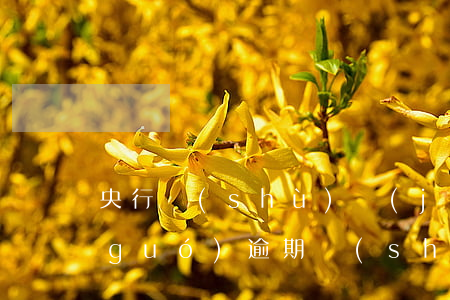 央行數(shù)據(jù)逾期-全國(guó)逾期數(shù)據(jù)