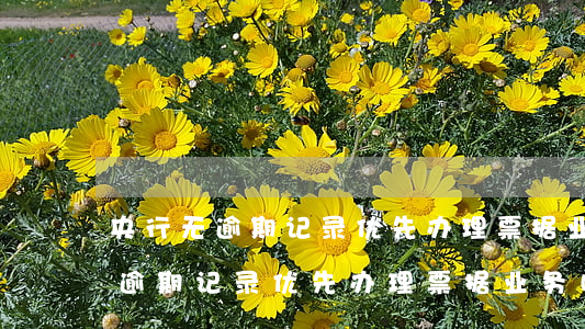 央行无逾期记录优先办理票据业务-央行无逾期记录优先办理票据业务吗