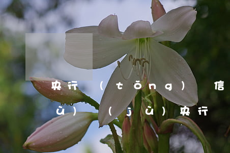 央行統(tǒng)計信用卡逾期數(shù)據(jù) 央行統(tǒng)計信用卡逾期數(shù)據(jù)多久更新