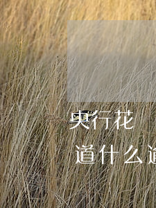 央行花唄逾期了怎么處理(花唄顯示逾期不知道什么逾期了怎么處理)