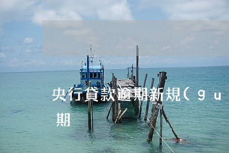 央行貸款逾期新規(guī)定(銀行貸款逾期)