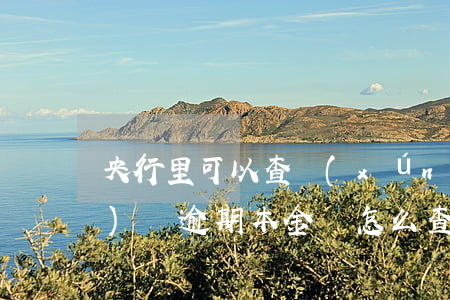 央行里可以查詢(xún)到網(wǎng)貸逾期本金嗎(怎么查詢(xún)自己逾期的網(wǎng)貸)