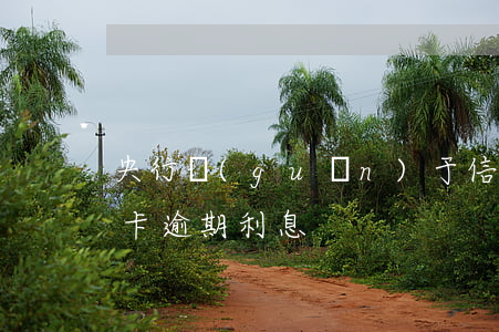 央行關(guān)于信用卡逾期罰息(信用卡逾期利息)