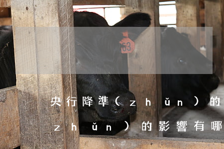 央行降準(zhǔn)的影響-央行降準(zhǔn)的影響有哪些