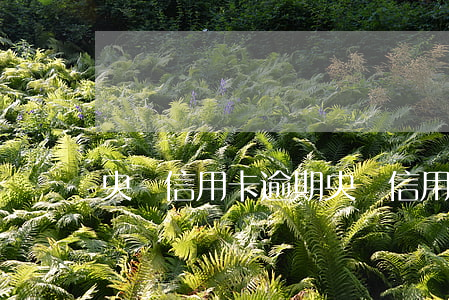 央視信用卡逾期(央視信用卡逾期是真的嗎)